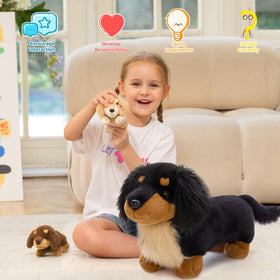 MorisMos dachshund longhair with inside puppies unzipped reveal