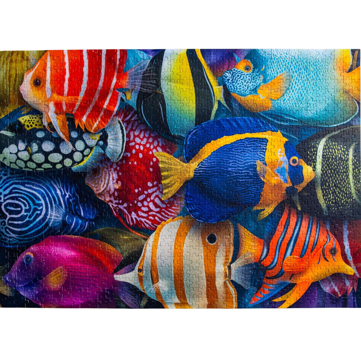 Mosaic Puzzles Sea of Colors box front showcases premium packaging and gift-ready presentation