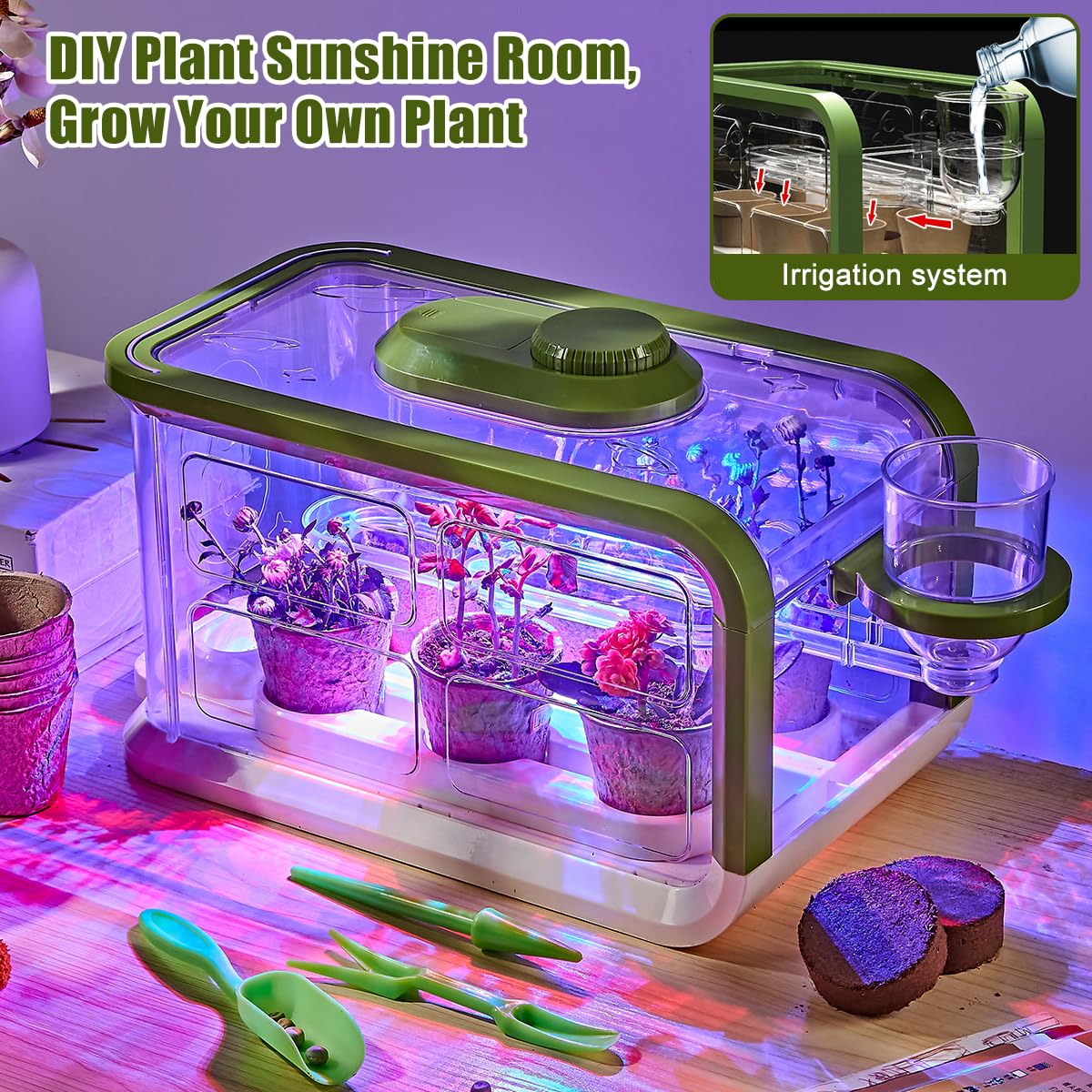 Mostop greenhouse setup in a sunlit room for daily plant observation