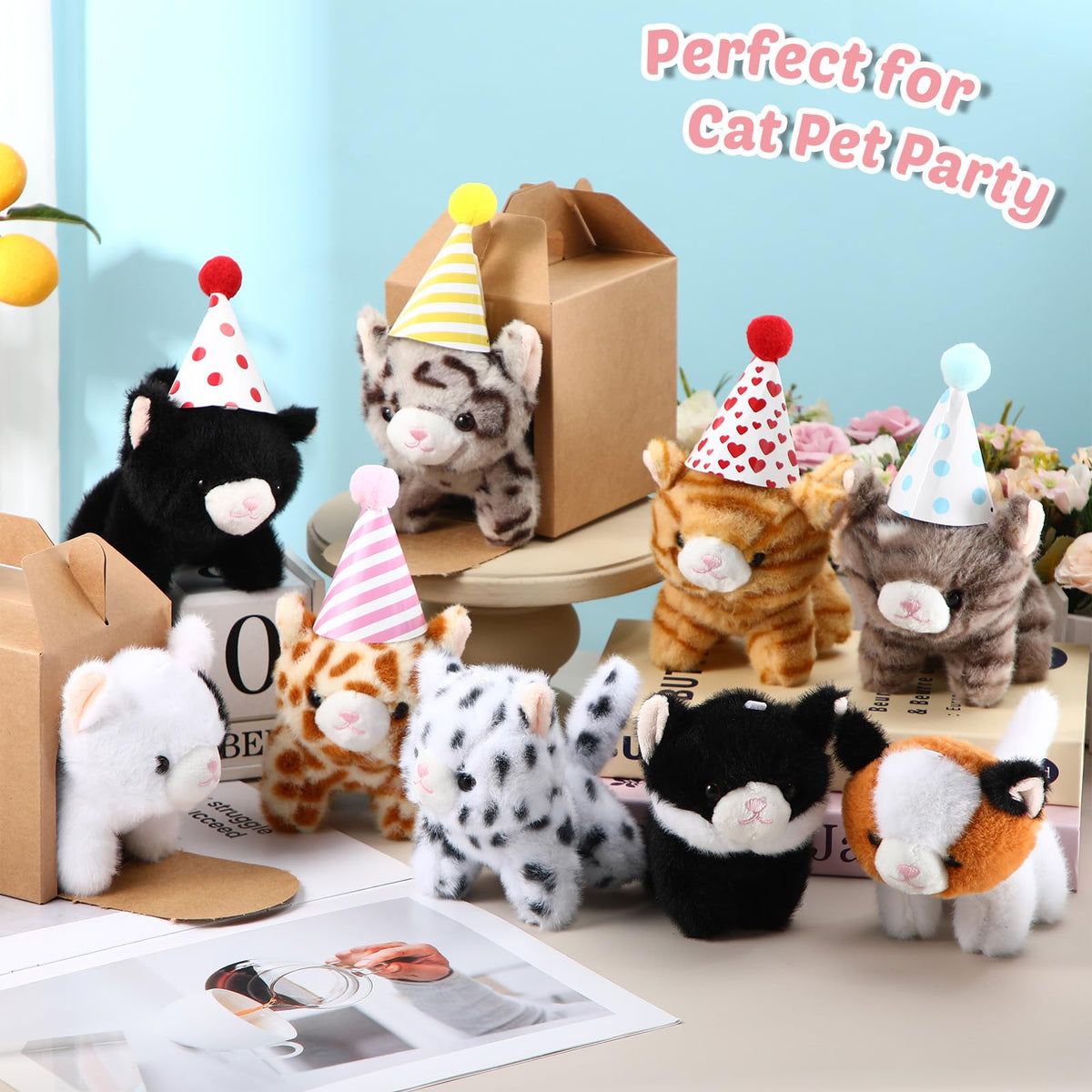 Motionchic birthday hat close-up standing showcases fluffy charm
