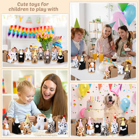 Motionchic kitten gift display, perfect for birthdays and celebrations.
