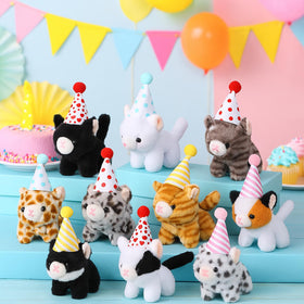 Motionchic kitten gift set standing display for parties and classrooms
