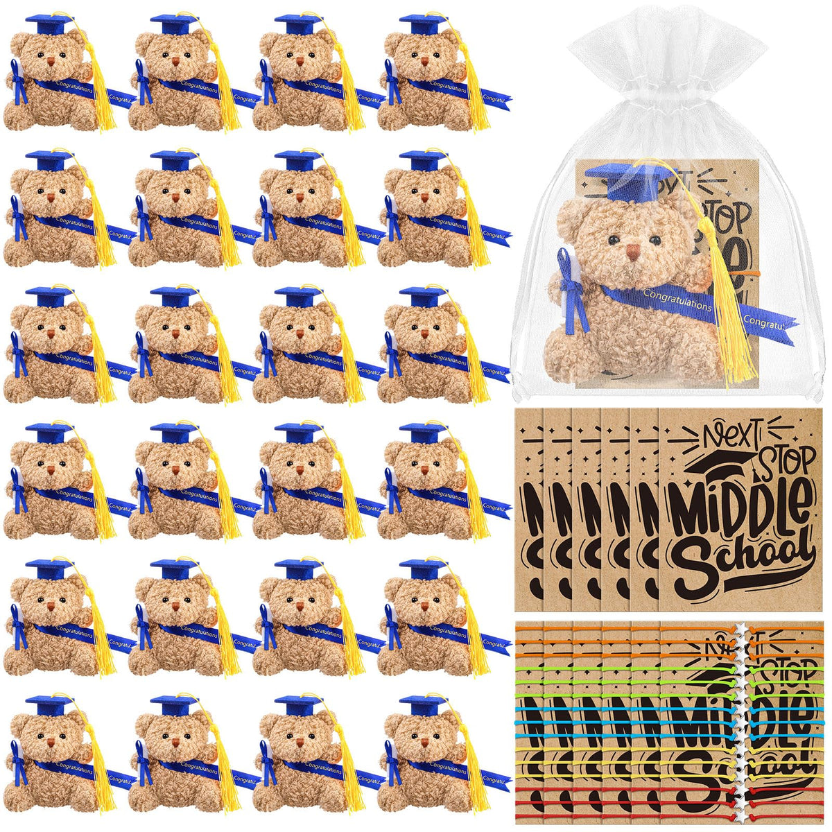 Motionchic mini graduation bears in blue cap with diploma, a keepsake for Class of 2026