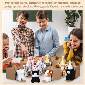 Motionchic vacuum packaging showcases easy unboxing and storage.