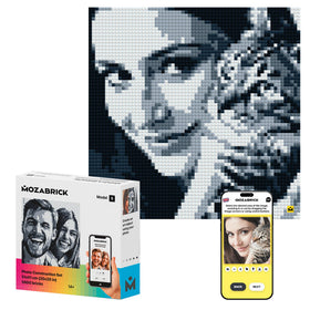 Mozabrick Model S palette setup shows color options for customizing your photo mosaic.
