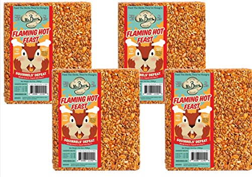 Mr. Bird Flaming Hot Feast seed cake 1lb9oz – main image, year-round platform feeder use