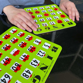 MR CHIPS on-the-go bingo set ideal for gatherings and travel.