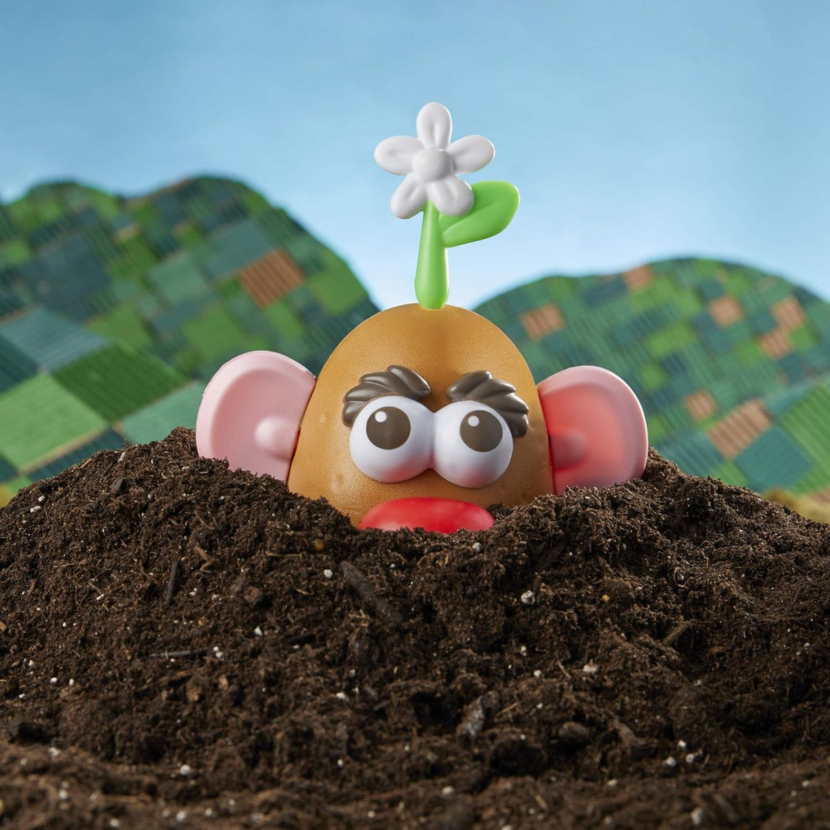 Sprout accessory from Mr Potato Head Goes Green for storytelling