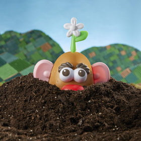 Sprout accessory from Mr Potato Head Goes Green for storytelling