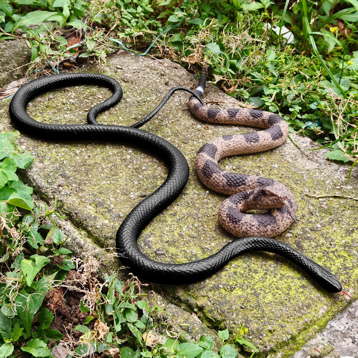 MUCOOS fake snake close-up shows lifelike scale textures.