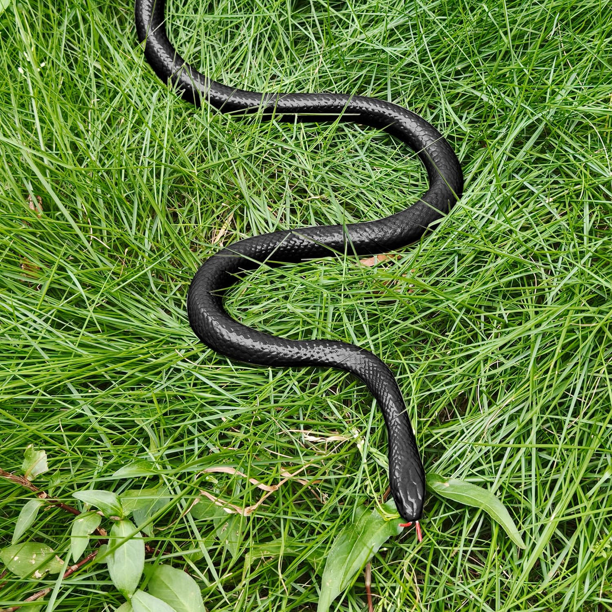 MUCOOS snake on a branch for Halloween decoration and fun.