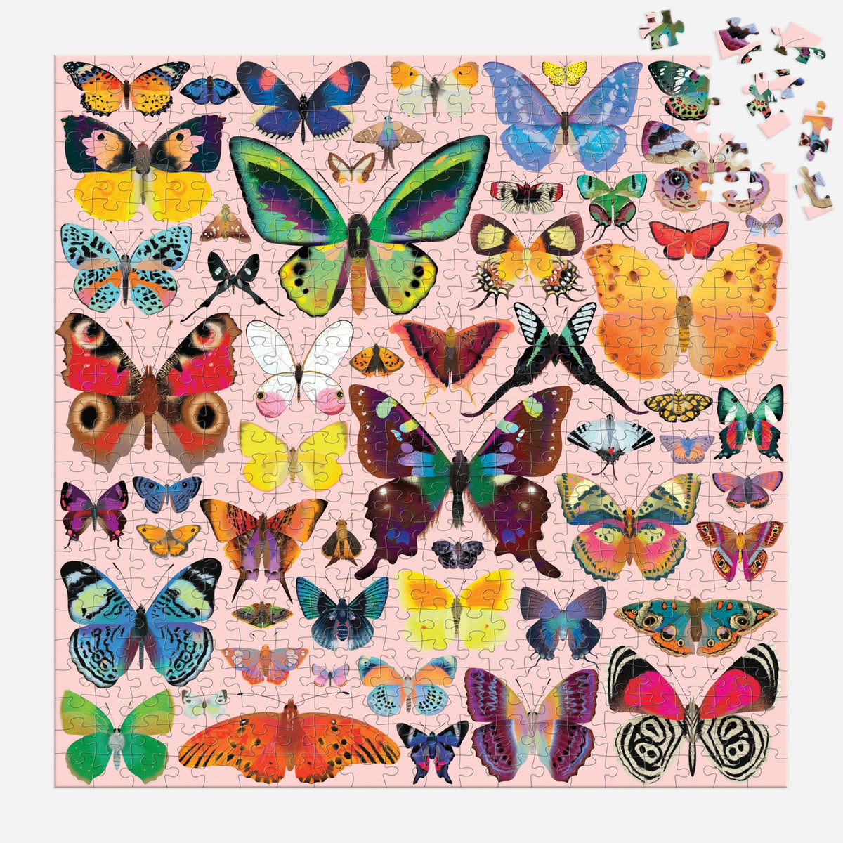 Mudpuppy Brilliant Butterflies artwork closeup showcasing playful insects and detailed illustrations