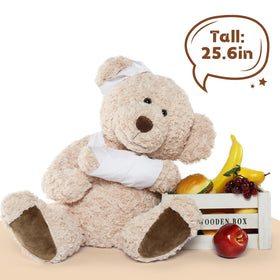 Gift-ready packaging of the Muiteiur bear makes a thoughtful get-well present.