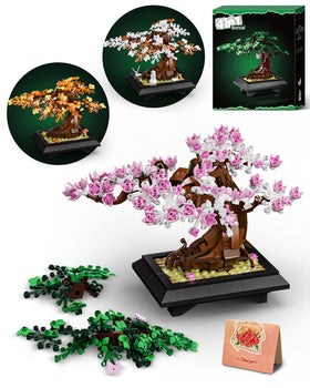 Muiurple 4in1 Bonsai set box with organized parts for easy assembly