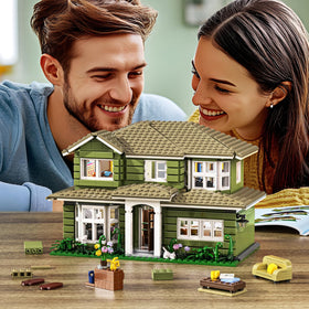 MYFUNTOY Dunphy's House colorful decorations spark creative display.