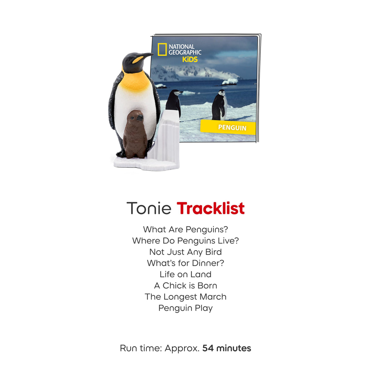 National Geographic penguin education content supports early learning about penguin life.