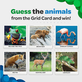 National Geographic Secret Clue Animals: vibrant photos spark curiosity during family game night.