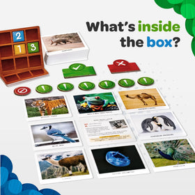 National Geographic Secret Clue Animals: cooperative gameplay enhances teamwork while decoding clues.