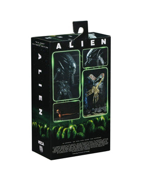 NECA Alien 1979 egg with tentacled base for display variety