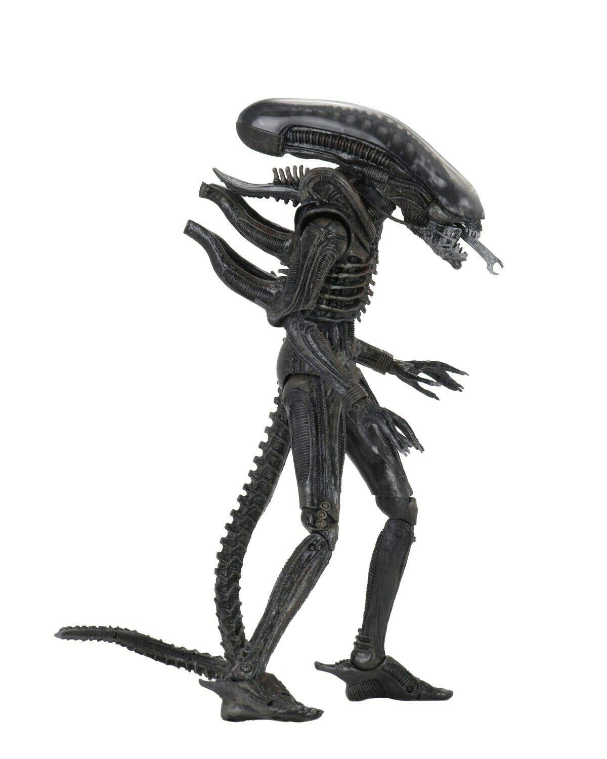 NECA Alien Big Chap side view ideal for dynamic pose collection