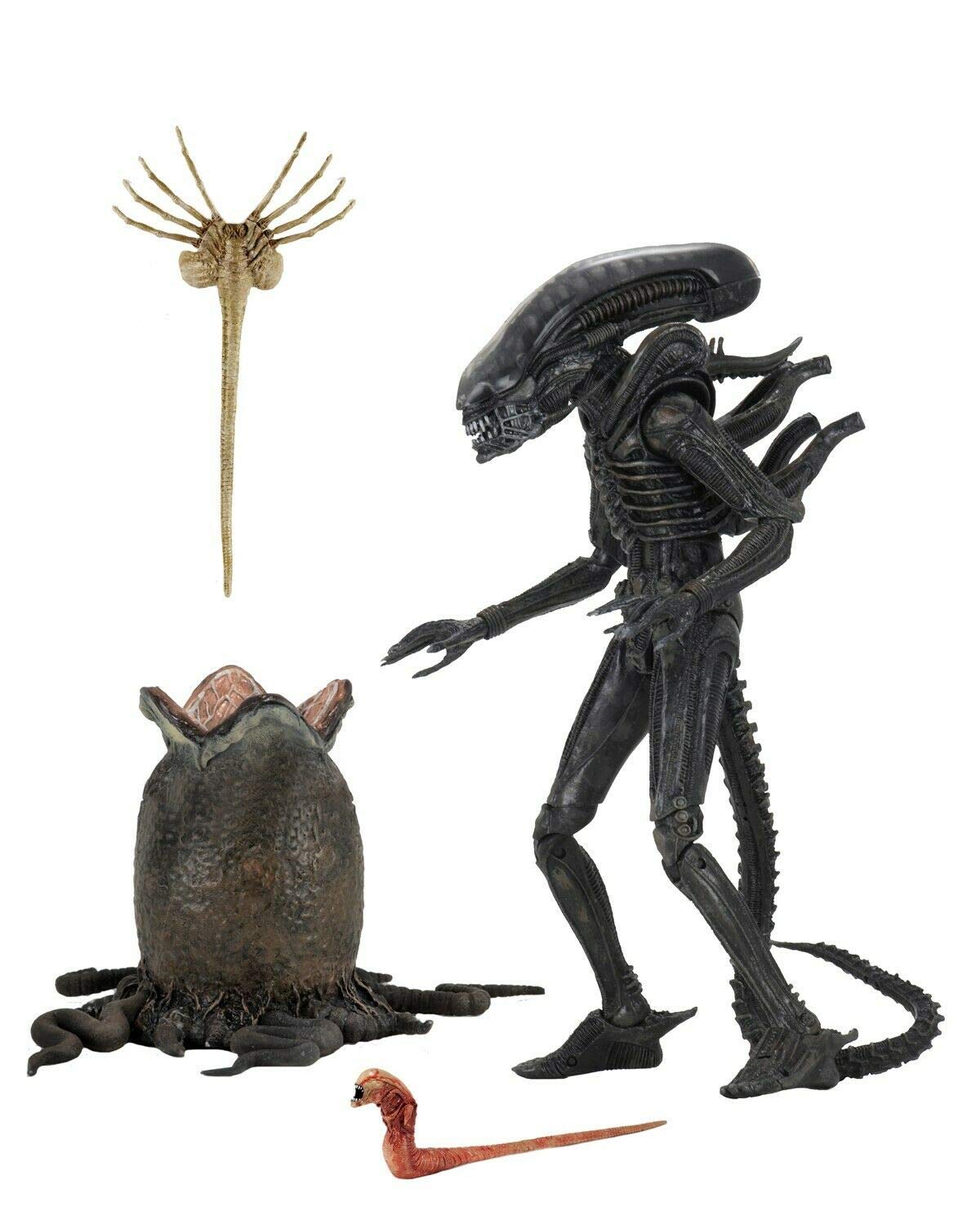NECA Alien Big Chap figure front view for dramatic display
