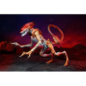 NECA Panther Alien drone magnet back for expanded posing options.