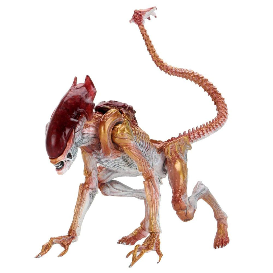 NECA Panther Alien figure with bendable tail for dynamic display.