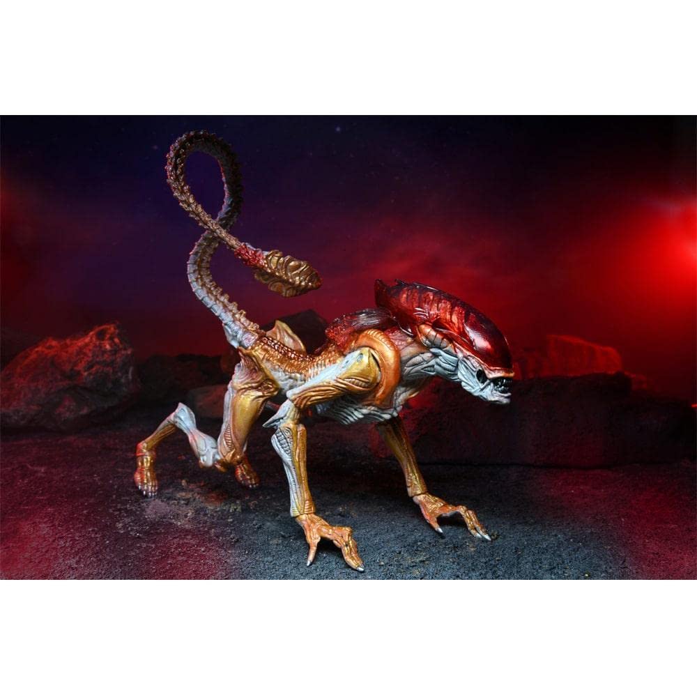 NECA Panther Alien 9-inch figure ideal for shelf display.