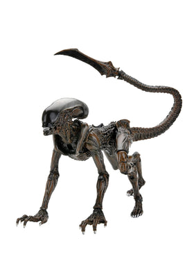 NECA Runner Alien Fireteam Elite stands almost 9 inches tall on shelf