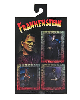 NECA Frankenstein color accessories with shackles and daisies for storytelling