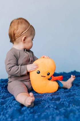 Nerdbugs Kidney Plush for nurses, thoughtful medical professional gift.