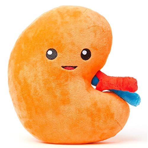 Nerdbugs Kidney Plush front view, a comforting recovery companion.