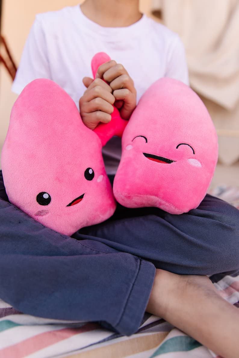 nerdbugs Lung Plush child learning setup for classroom or home study