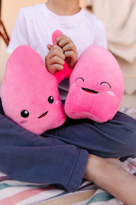 nerdbugs Lung Plush child learning setup for classroom or home study