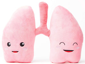 nerdbugs Lung Plush closeup showing friendly design for comforting hugs and mood lifting