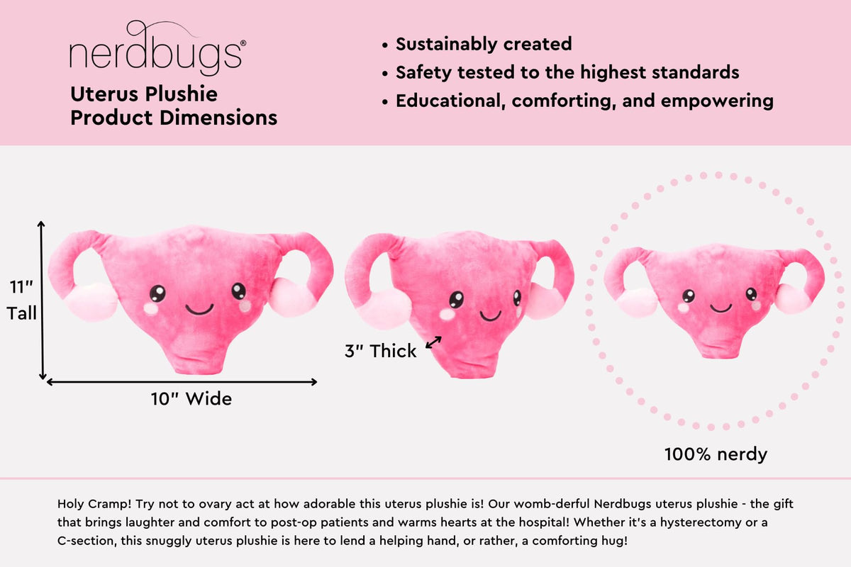 Nerdbugs Uterus Plush with embroidered details makes anatomy approachable for teaching.
