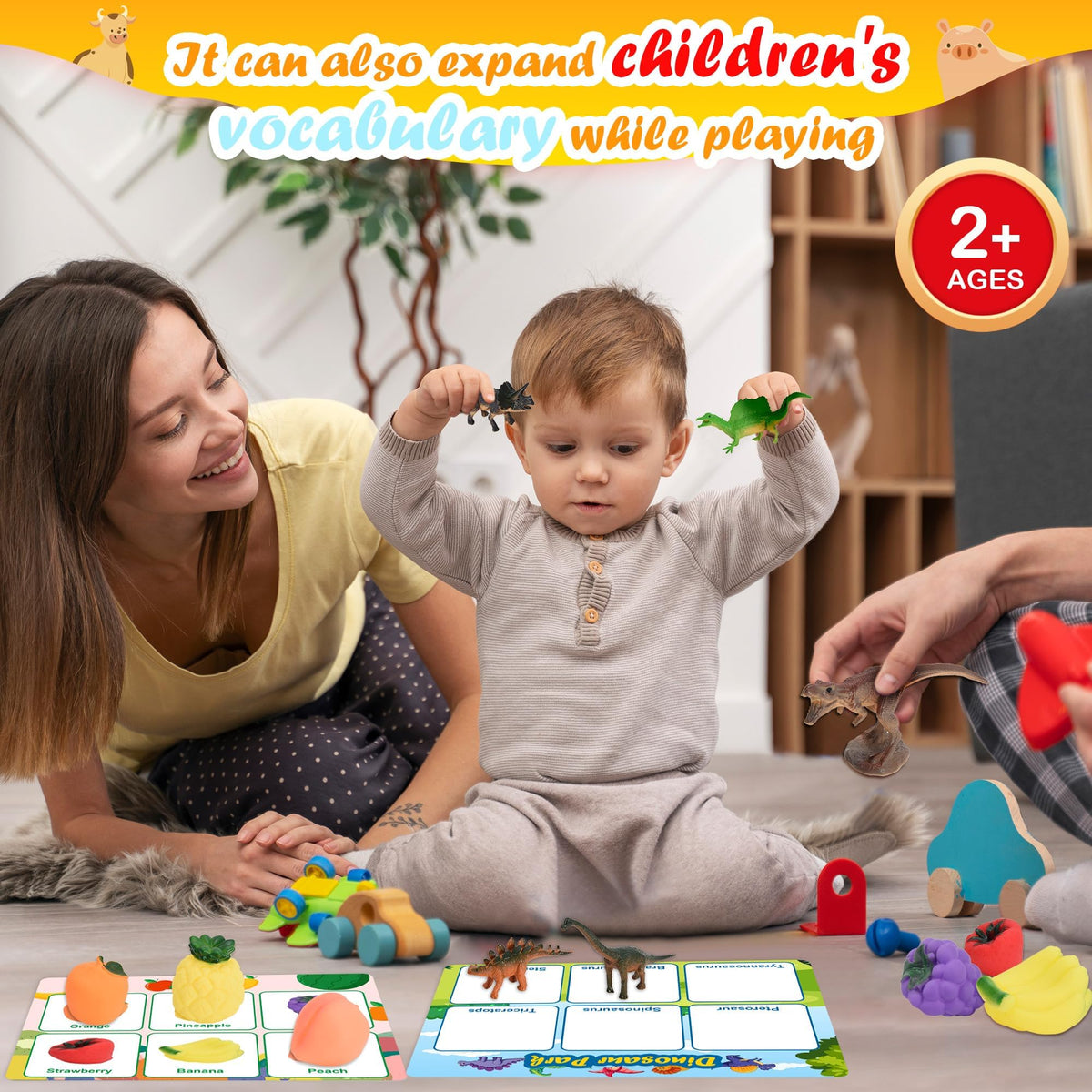 Nicella fruits and foods theme teaches everyday items through sorting play