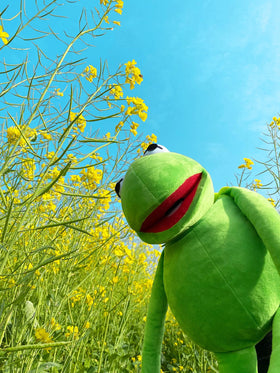 NICERINC Kermit puppet uses durable polyester microfiber fabric for daily use.