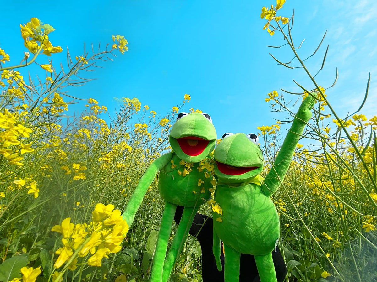 NICERINC Kermit puppet is ideal for family play and performances.