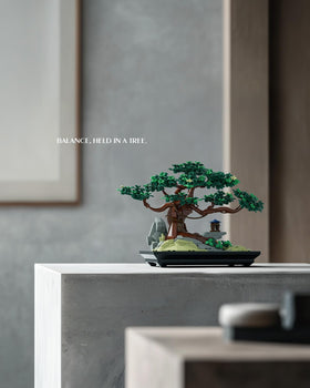 Close-up of Nifeliz CHAN Bonsai leaves highlighting natural texture.