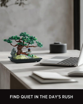 Nifeliz CHAN Bonsai Tree as a room centerpiece for quiet beauty.