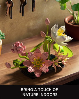Nifeliz Lotus desk display complements home or office interiors