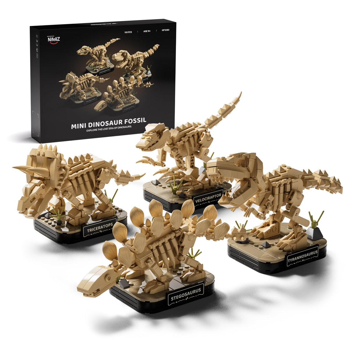 Nifeliz Velociraptor mini skeleton for desk display and hands-on learning
