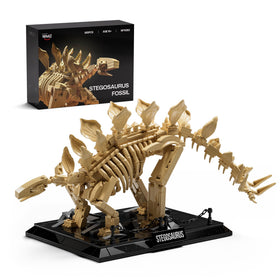Nifeliz Stegosaurus fossils model on a display base for desk-ready dinosaur display and collection.