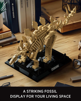 Nifeliz Stegosaurus fossils model nameplate setup highlights authentic display labeling for a refined collection.