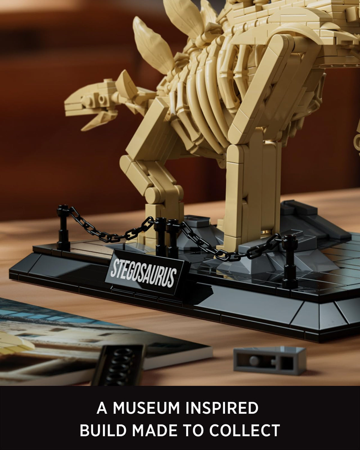 Nifeliz Stegosaurus skeleton bones set shows individual elements, aiding study and assembly for enthusiasts.