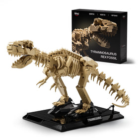 Nifeliz T. Rex fossil model on a desk display with museum-grade realism.