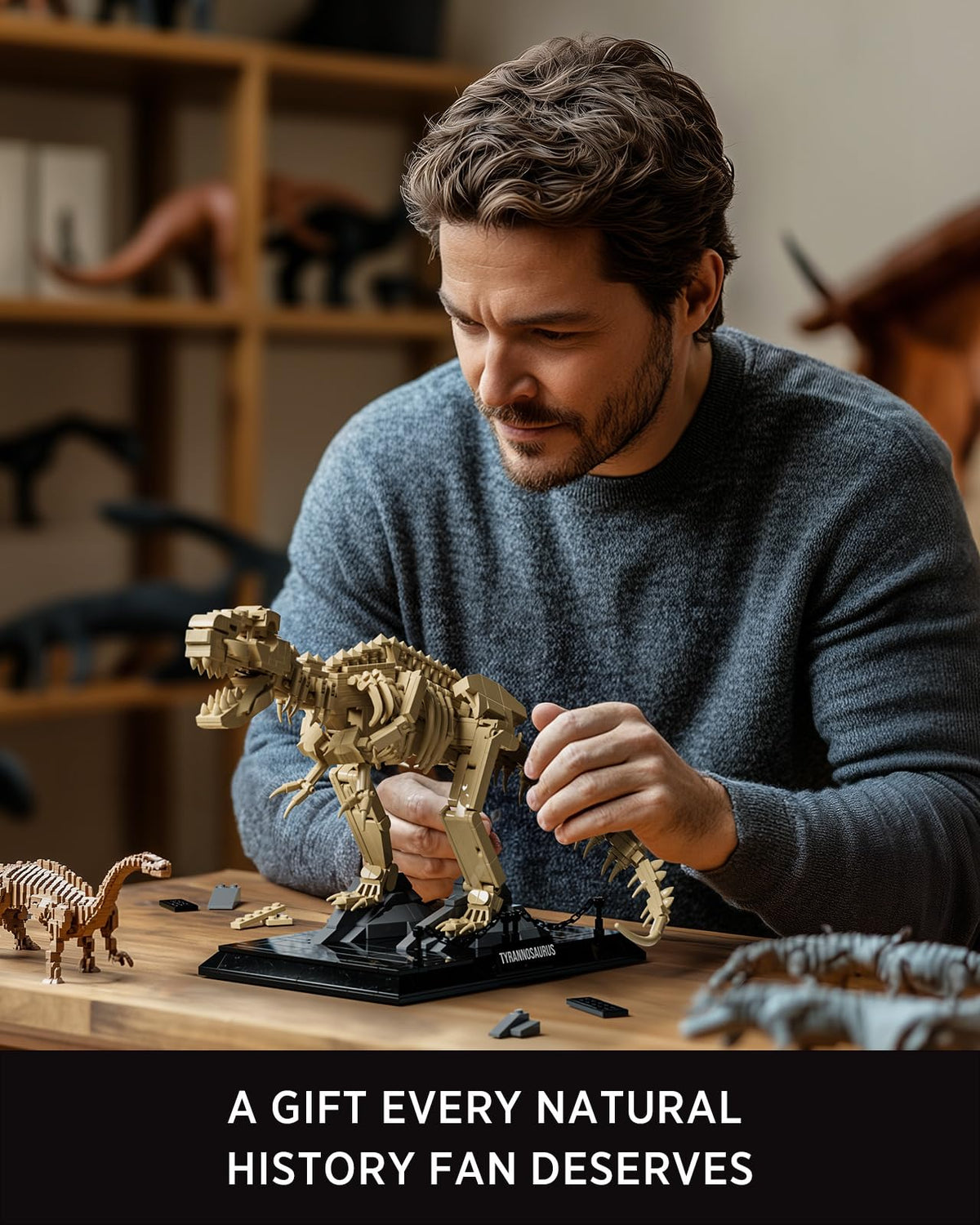 Nifeliz T. Rex fossil model fits desks or shelves neatly.