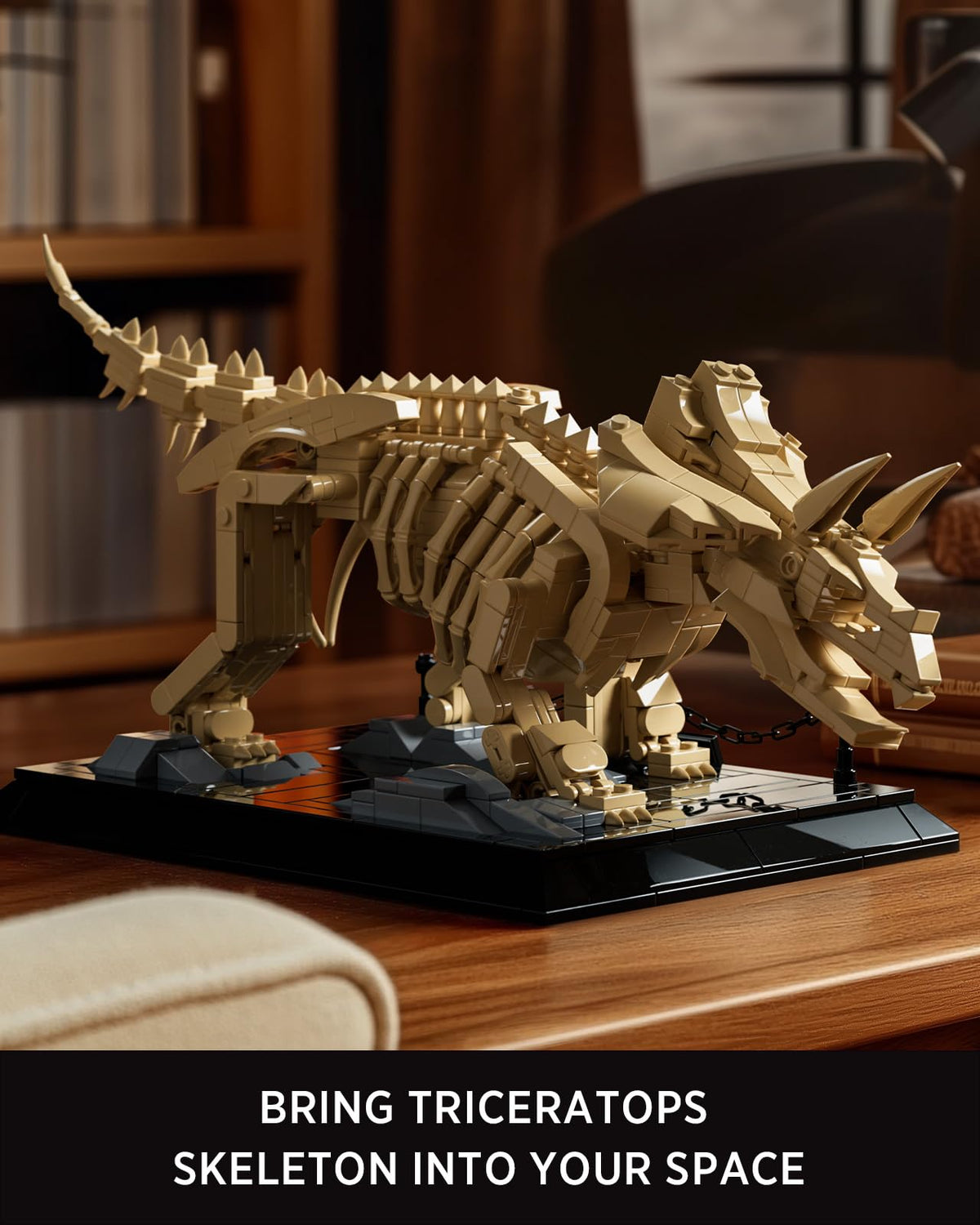 Nifeliz Triceratops museum style base display on shelf