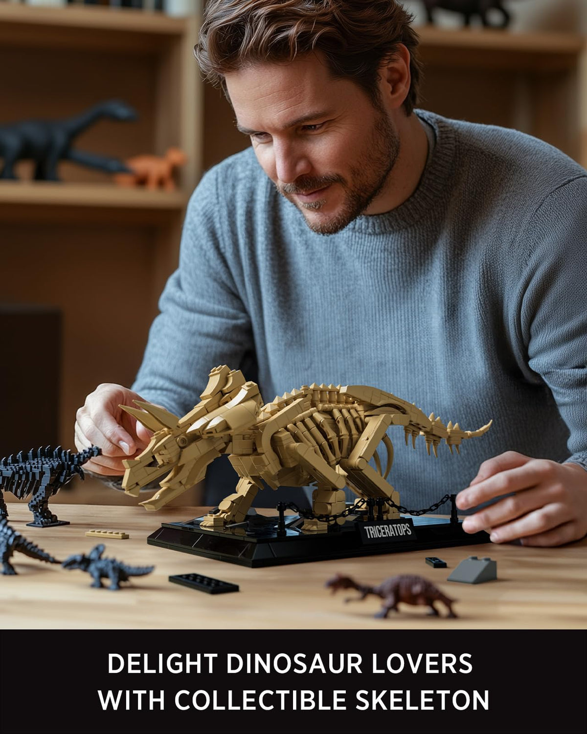 Nifeliz Triceratops display with nameplate and rocky base for character